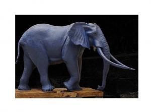 elephant (c) Sergio de la Rosa 2008