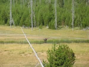 Continental divide ride 2011 042