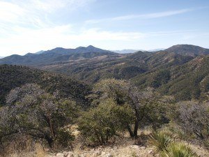 Patagonia Mountains – rich habitat for wildlife in the southwest ©Matt Clark