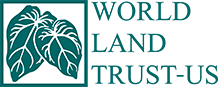 topBar.logo