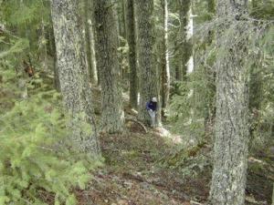 victory! kelsey whisky timber sale, Medford BLM