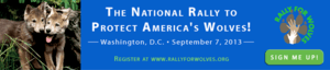 email-banner
