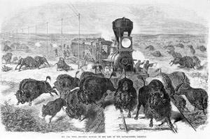 hunters-shooting-at-a-herd-of-bison-everett