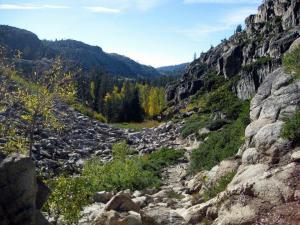 Emigrant_Wilderness_2_Laurel_Williams