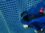 A diver cuts one of the tuna nets Photo: Sea Shepherd / Simon Ager