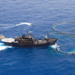 Steve Irwin and delta in action with the fishing boat Rosaria Photo: Sea Shepherd / Barbara Veiga