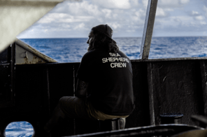  Alistair Allan, the bosun on the Bob Barker, on the ship's deck. The Bob Barker never left the trail of the poacher during the chase. Credit Selase Kove-Seyram for The New York Times 