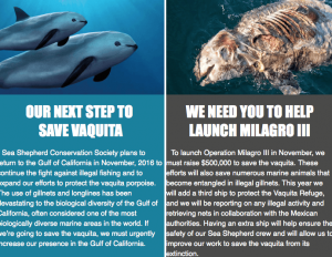 Sea Shepherd
