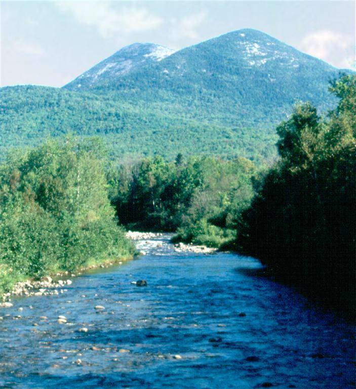 Nash Stream