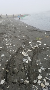 Elwha nearshore, April 20, 2021. (c) Coastal Watershed Institute