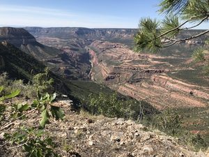 Saddle Canyon from Powell Plateau