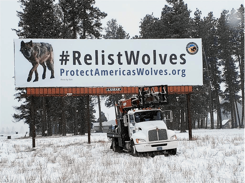 #RelistWolves billboard