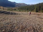 Caribou trails in Alaska’s Brooks Range