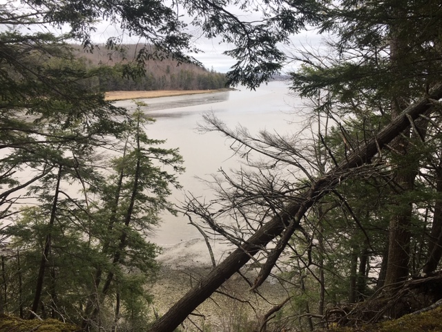 Bowden Point, Prospect, Maine (Photo by Beth Leonard)