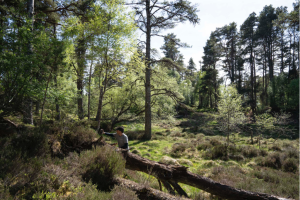 Various photos setting up camera traps for our wildlife surveys.