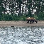 Alaska Trip 2023 by Danny Giovale
