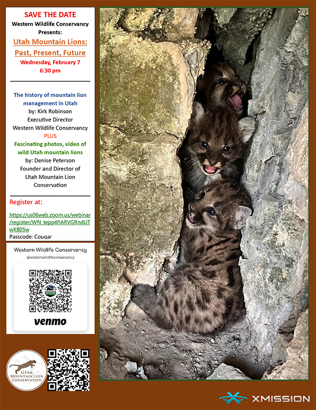 Utah Mountain Lions event flyer