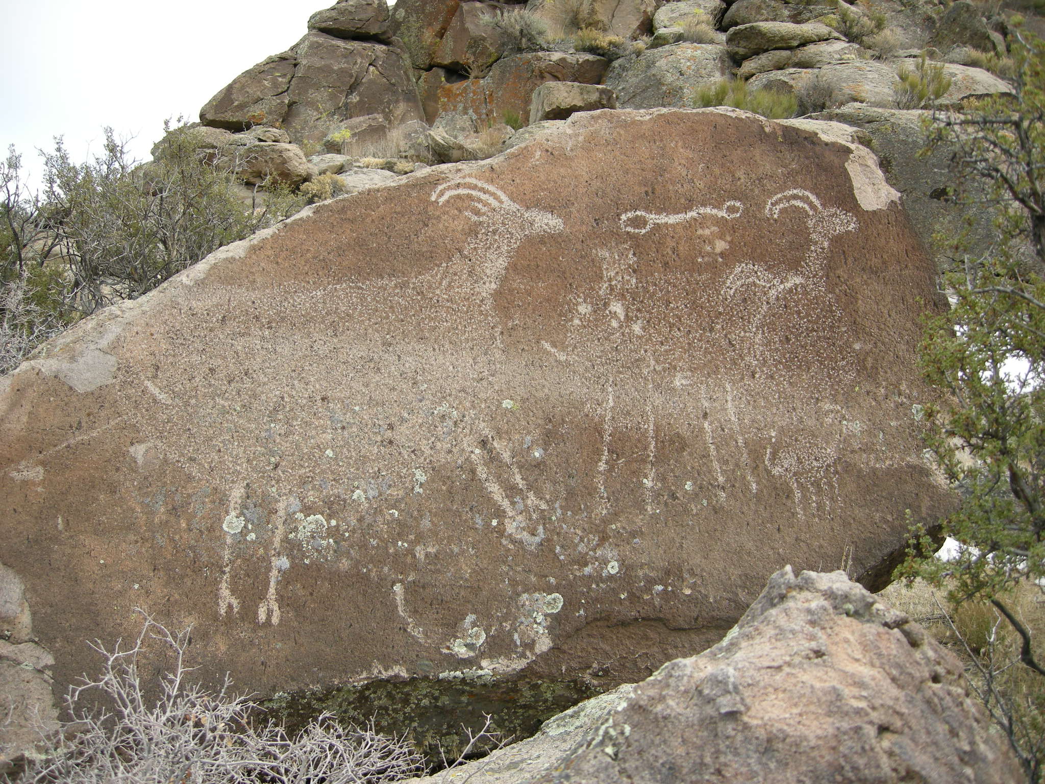 Petroglyph © Kirk Robinson
