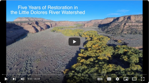 Restore & More, a Film by Kenyon Fields
