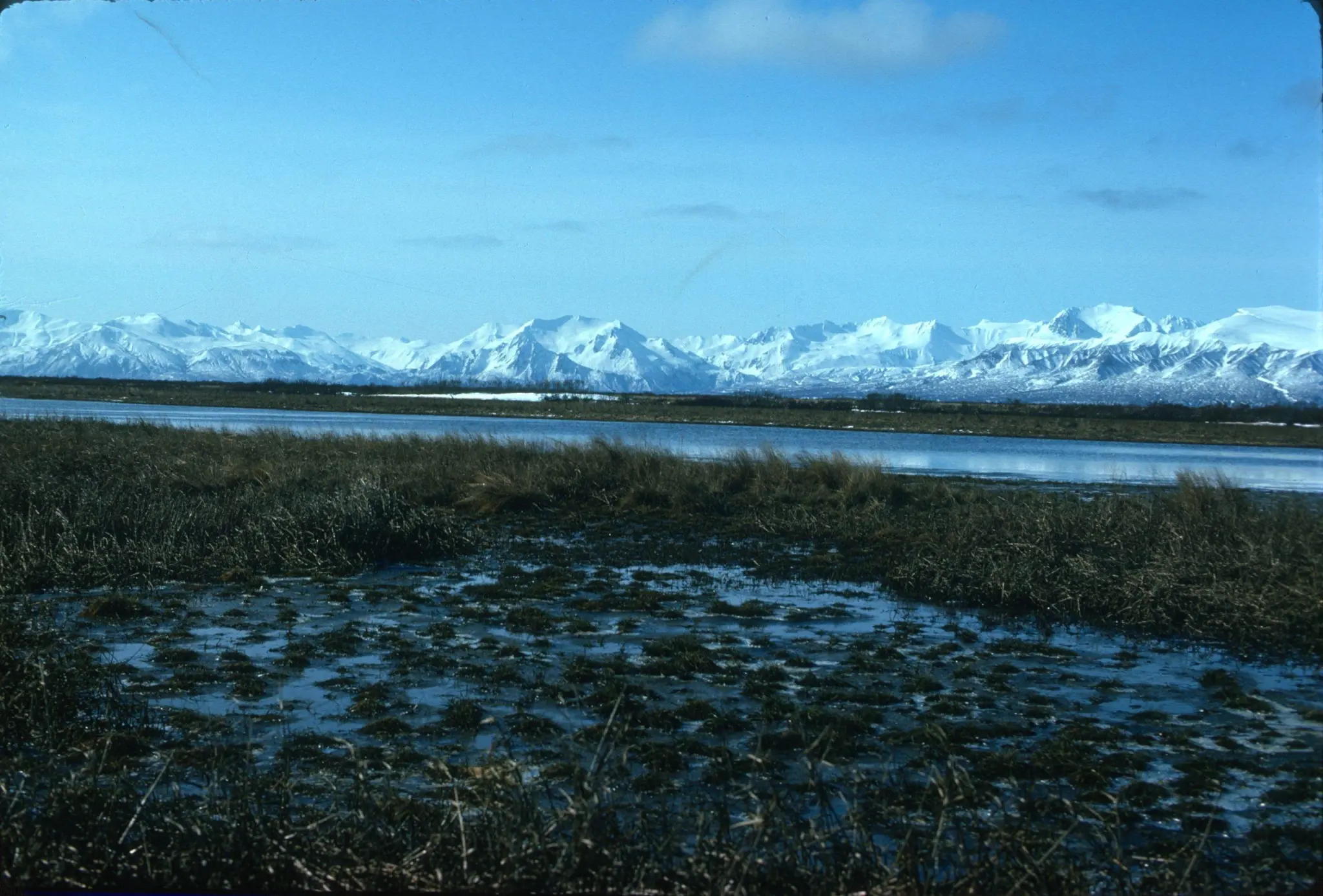 The rugged Aleutian Range consists of high peak, numerous wetlands, and treeless tundra. Photo © George Wuerthner