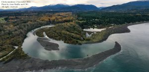 Elwha nearshore, Nov. 2, 2024