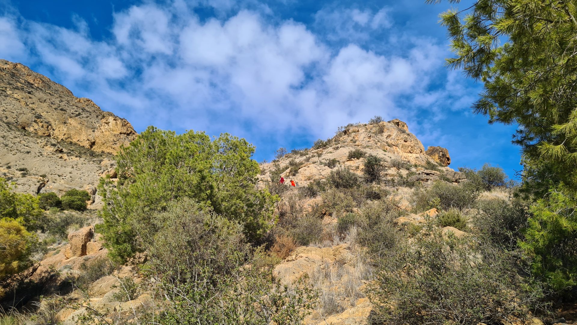 In Sierra de Callosa, Spain © Danusia Trzcinska