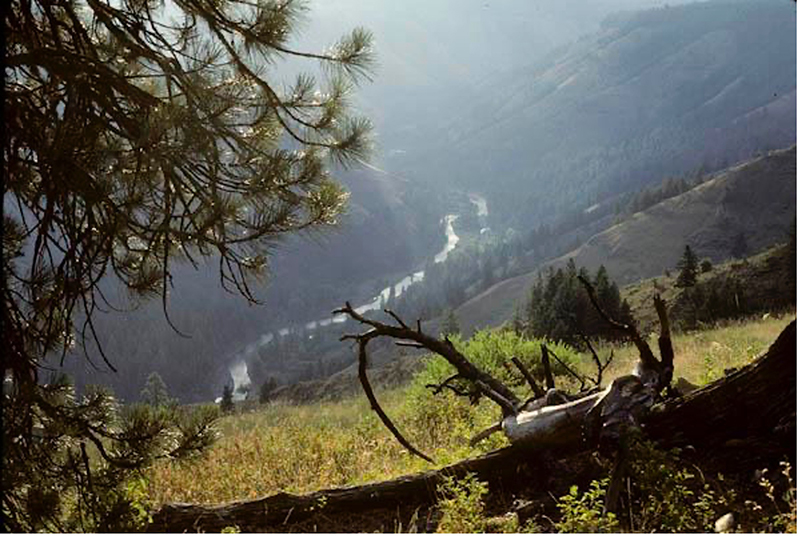 Wenaha River, Wallowa Whitman NF, OR. (Photo by George Wuerthner)
