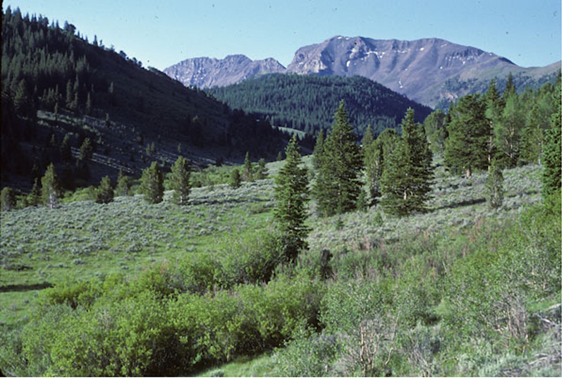 Italian Peaks proposed wilderness, MT. (Photo by George Wuerthner)